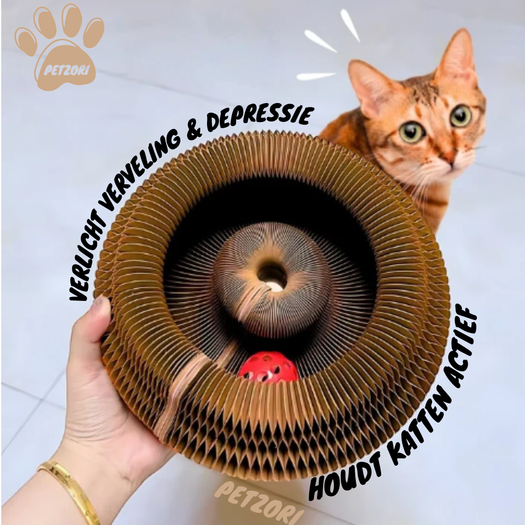 De KattenKrul