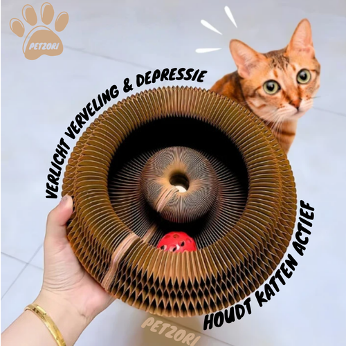 De KattenKrul