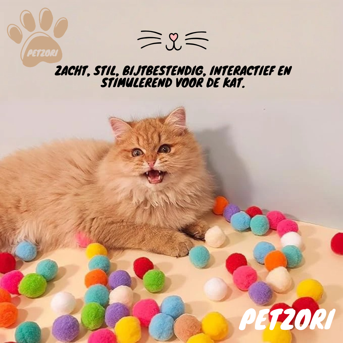 Mini Interactieve Ballenwerper