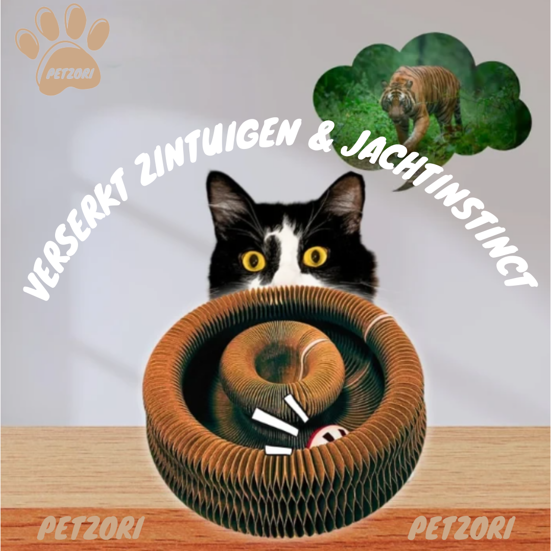 De KattenKrul