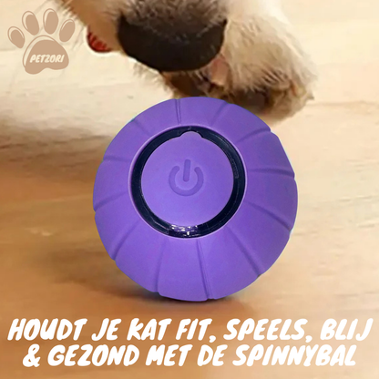 De Spinny Ball