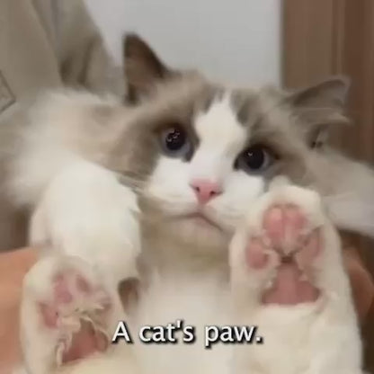 Paw Perfect Pro
